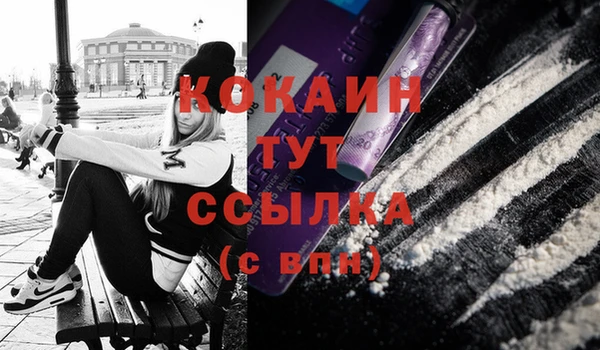 крисы Белокуриха