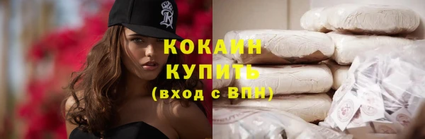 мяу мяу мука Горно-Алтайск