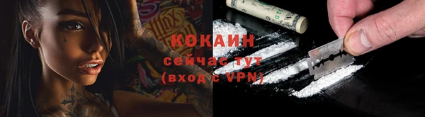 крисы Белокуриха