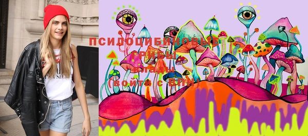 не бодяженный Беломорск